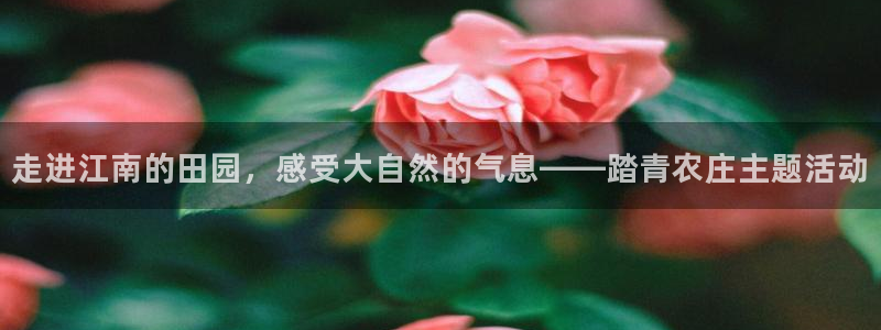 pg电子招财喵爆分照片