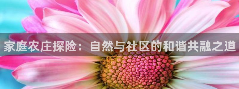 pg电子APP游戏下载