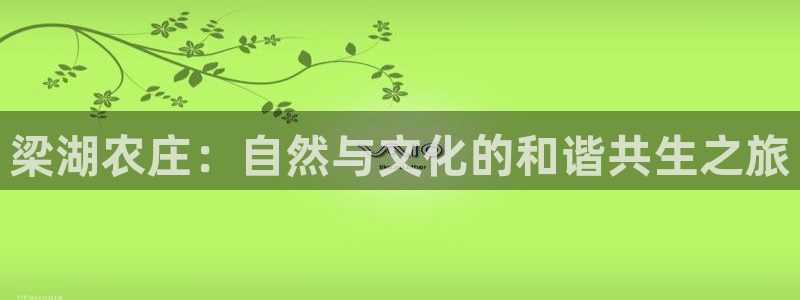 pg电子麻将胡了太坑