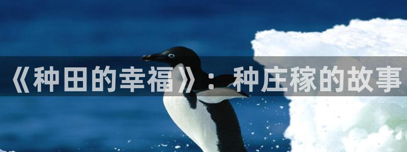pg电子不凡成就非凡