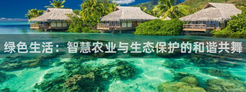 最大pg电子游戏官网