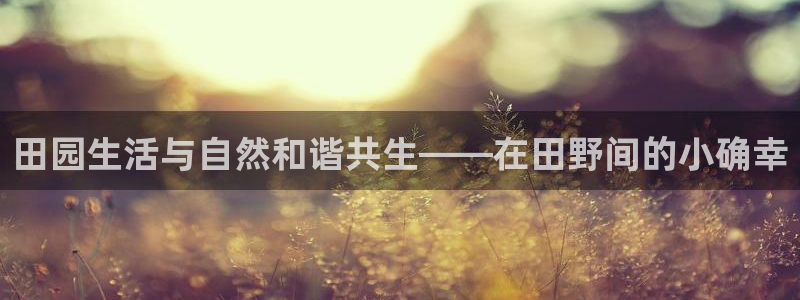 pg电子游戏运作