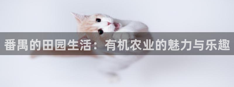 pg电子最大奖