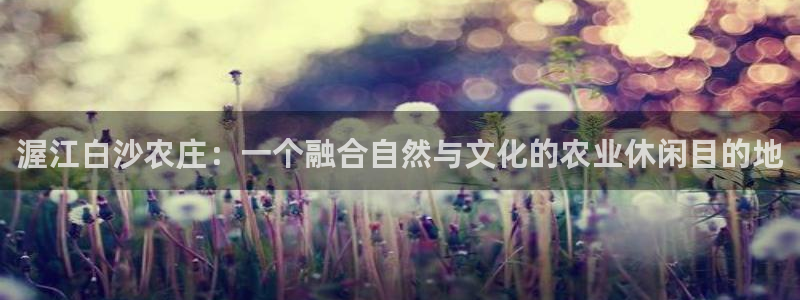 电子pg游戏最高爆分