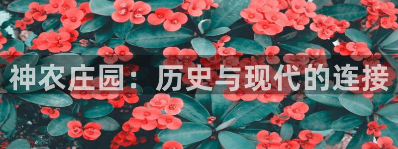 PG电子是不是假的