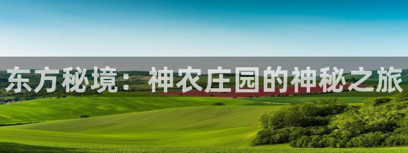 PG电子官网欣ly79