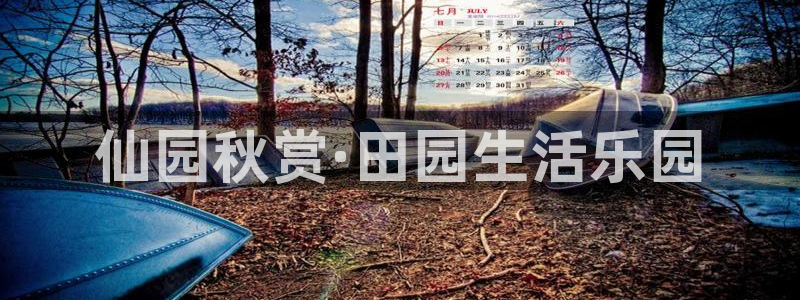 pg电子爆分视频