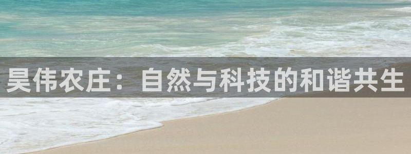 pg电子麻将胡了试玩版