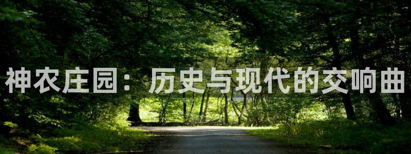 pg电子游戏爆分锦集