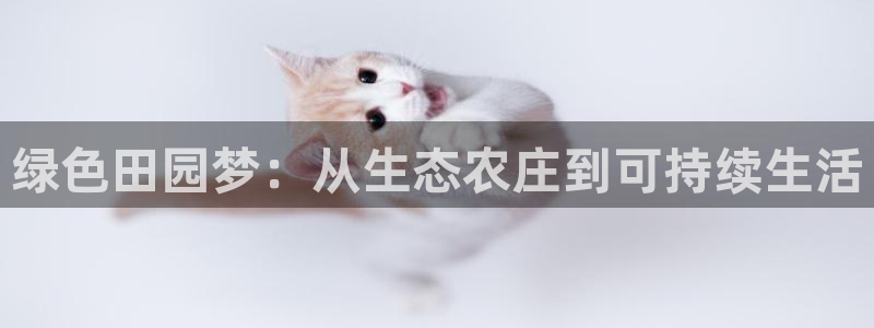 pg电子屏幕共享