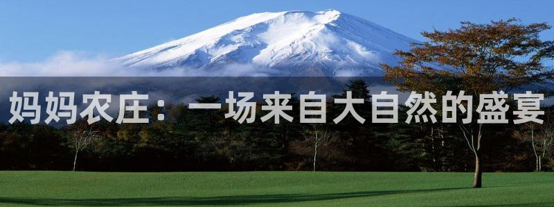 PG电子ly七九典cn