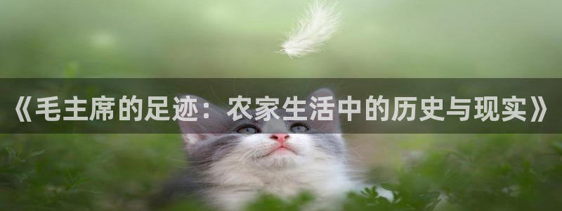 pg电子游戏下载开元