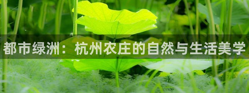 pg电子 爆分视频