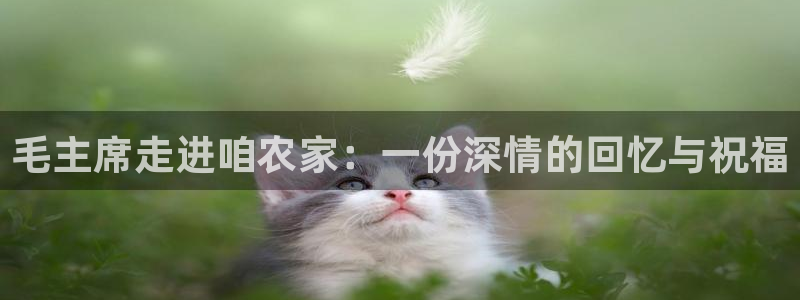 十年安全老品牌pg电子