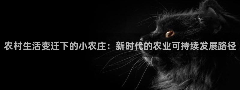 pg电子吃分爆分时间