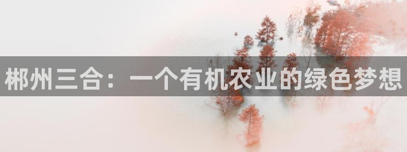 pg电子游戏下载开元