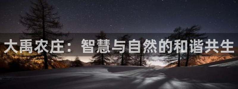 Kok里pg电子维护