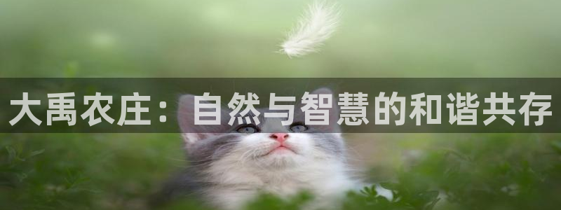 pg电子游戏控制输赢