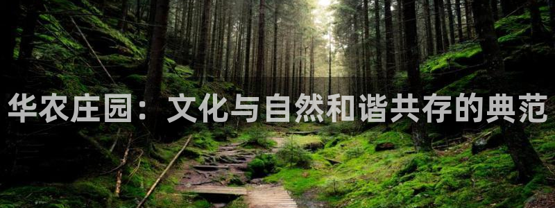 澳门PG电子网址