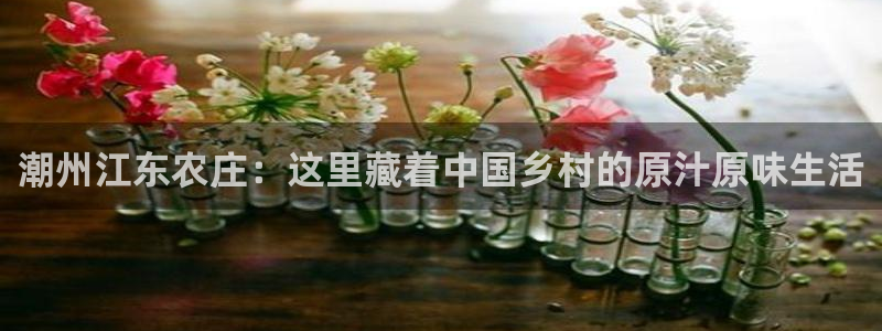 pg电子客户端官网