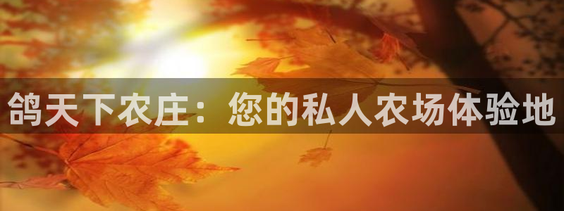 pg电子麻将胡消消乐