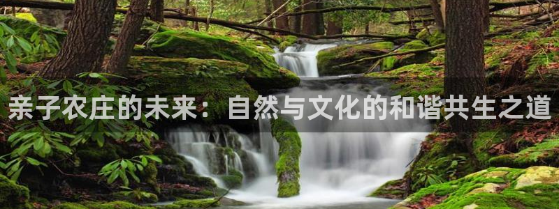 金沙pg电子赢了20万