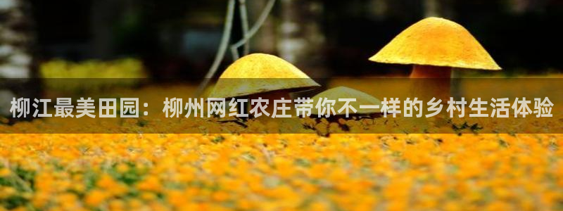 pg电子平台官方网址