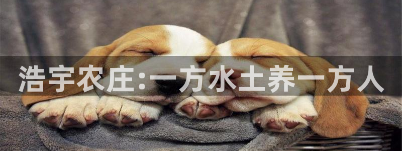 pg电子旺旺旺爆分视频