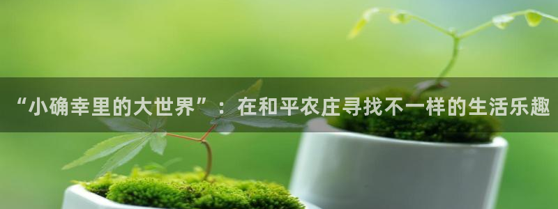 电子PG游戏解说