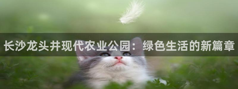 pg电子平台试玩体验