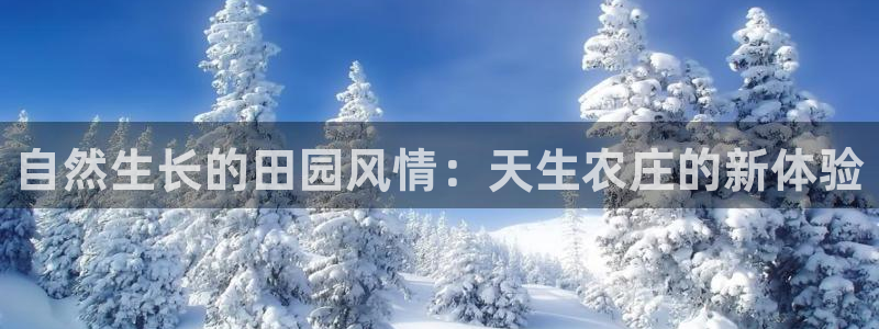 pg电子有没有靠谱点的