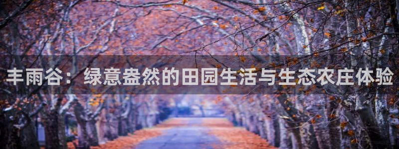 pg电子爆分视频