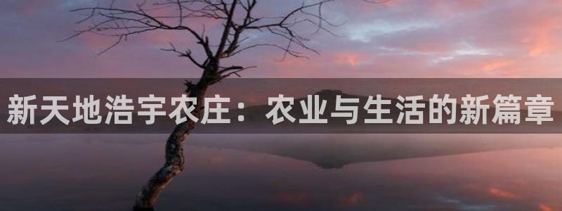 竹子熊猫电子游戏pg