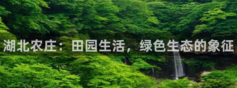 电子pg游戏网址