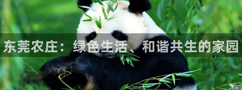 网页打不开Pg电子游戏