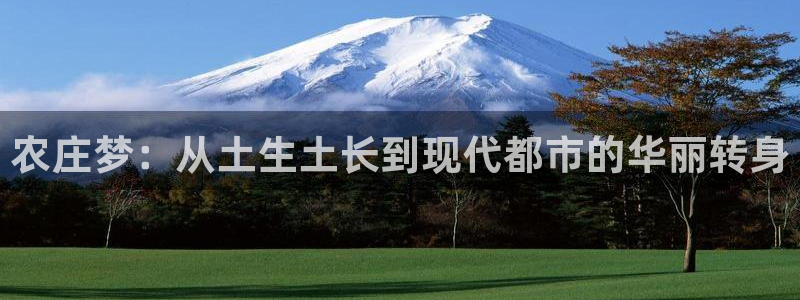 pg电子冰雪大冲关视频