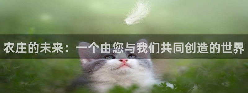 pg电子超市大比拼爆分