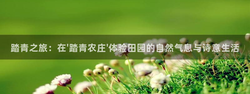 少林足球pg电子