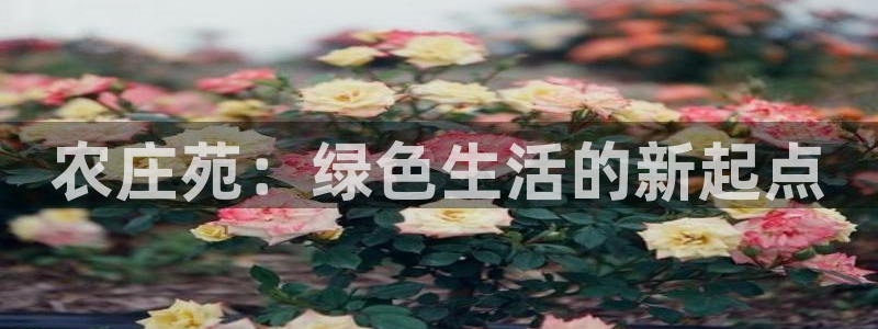 电子PG游戏麻将胡了游戏平台