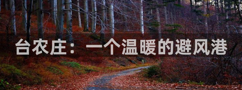 pg电子推荐下载