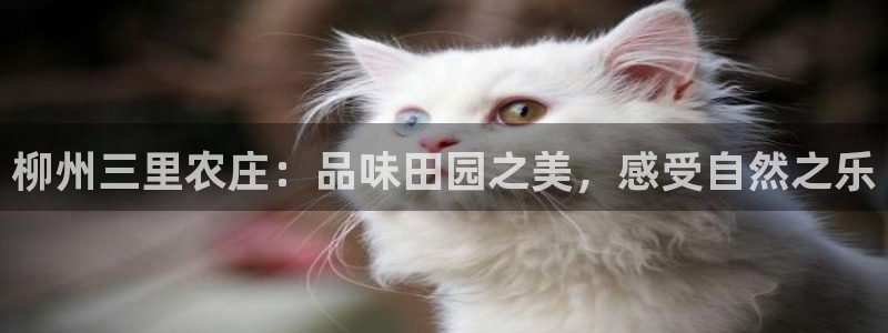 金沙PG电子游戏下载