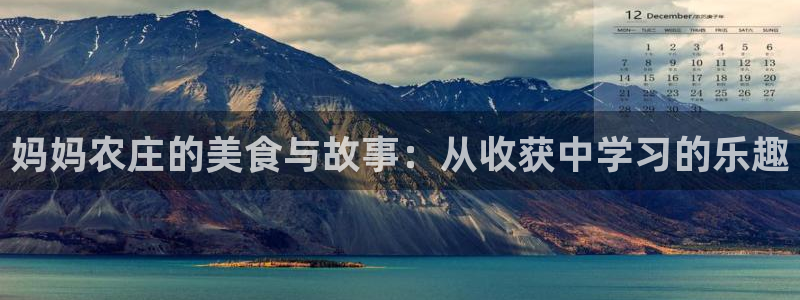 pg电子注单未返回