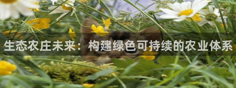 pg电子体育下载