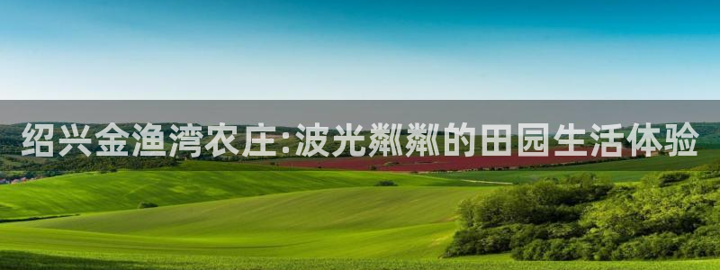 Kok里pg电子维护