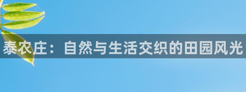 pg电子麻辣火锅爆分