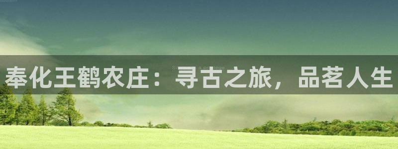 pg电子游戏在线网址