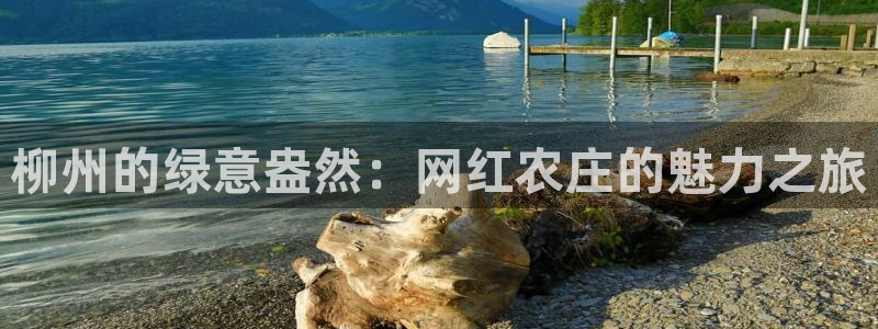 pg电子平台网址大全