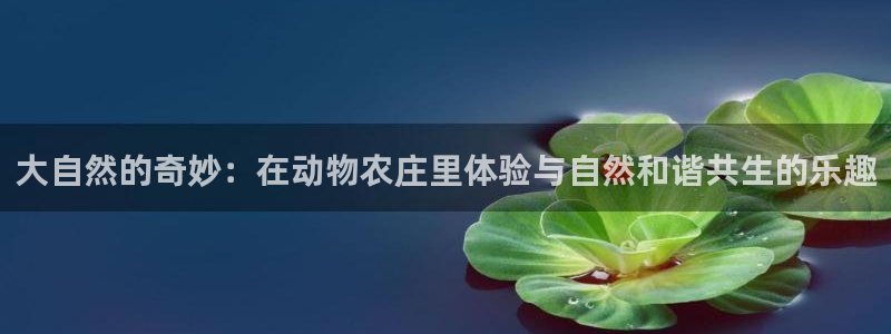 pg电子有1万倍的吗