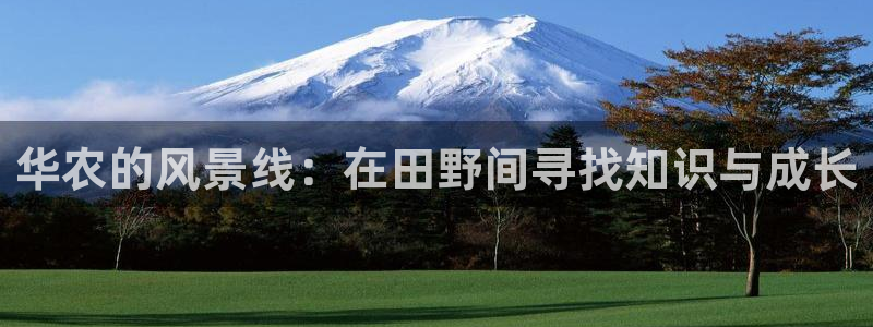 最火pg电子软件
