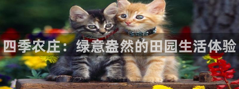 pg电子代理商
